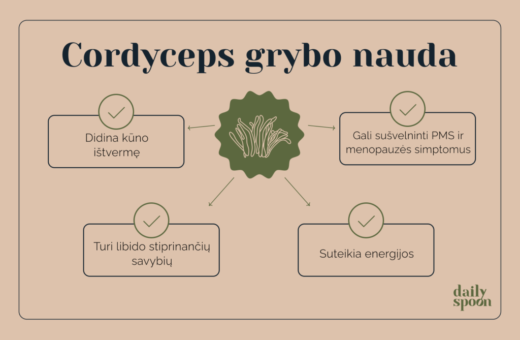 Kordicepso nauda ir vartojimas