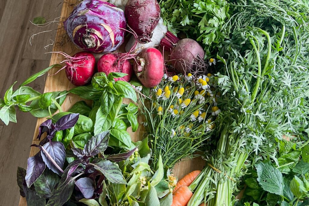 Daržovių vaivorykštė