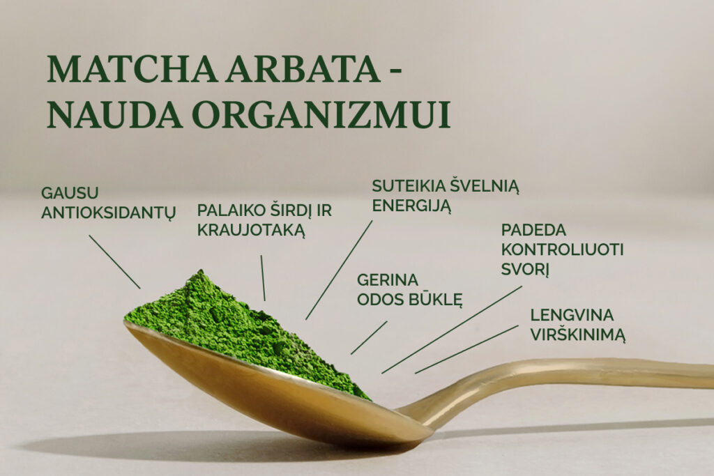 Matcha arbata - nauda organizmui: gausu antioksidantų, palaiko širdį, virškinimą, svorio kontrolę, energiją ir odos būklę