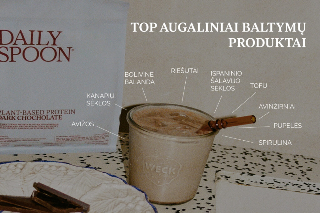 TOP augaliniai baltymų produktai