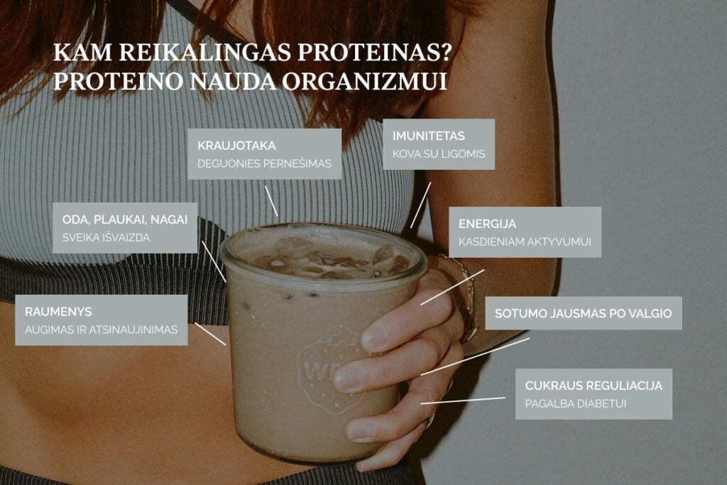 Kam reikalingas proteinas? Proteino nauda organizmui