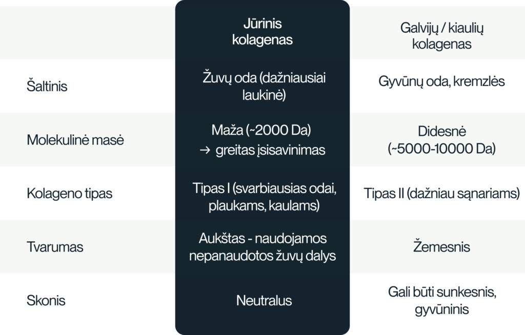 Kuo jūrinis kolagenas skiriasi nuo kitų tipų kolageno?